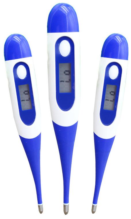 Digital Thermometer